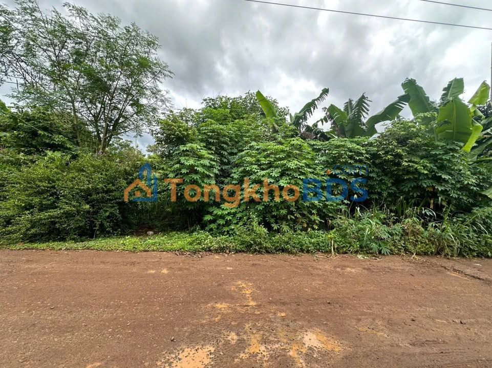 Đất Krông Bông 145m² - Sổ Thổ Cư, Giá 690 Triệu Gần Quốc Lộ