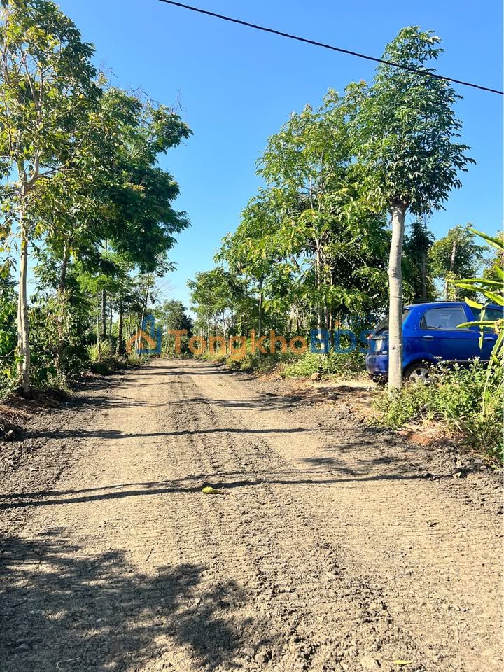 Đất nền Buôn Ma Thuột 1,6ha 7,5 tỷ - Tiềm năng tăng giá