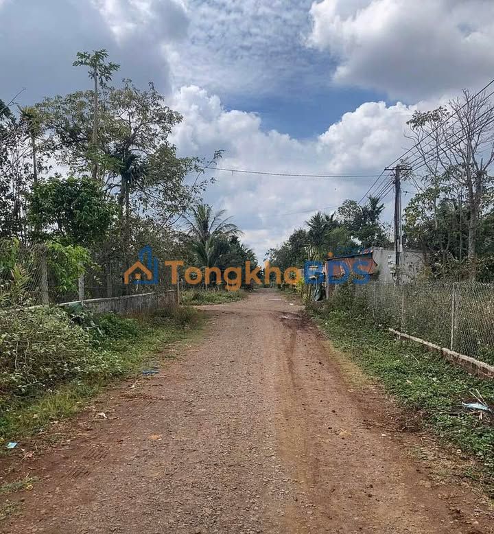 Đất thổ cư 150m² Cưor Đăng, Krông Búk - Giá 590 triệu, Sổ sẵn