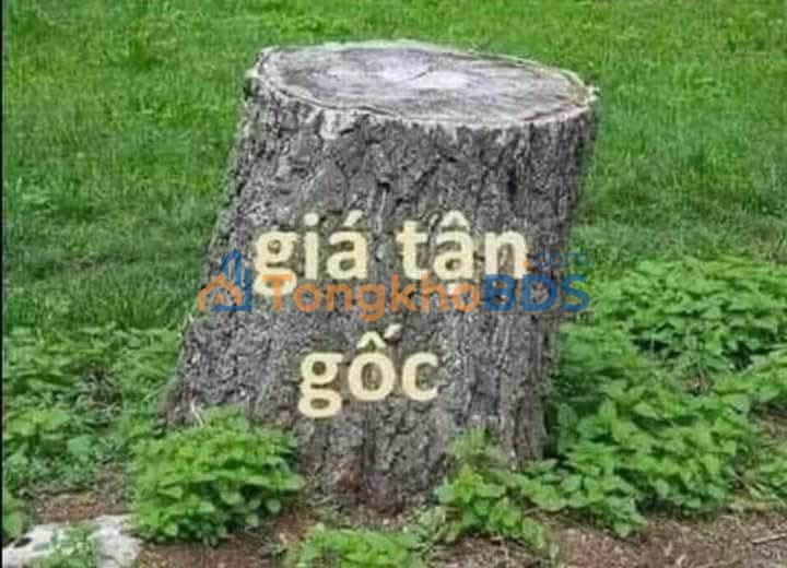 Bán Đất Tặng Nhà C4 Kinh Doanh Mặt Tiền 6m - Quế Võ, Bắc Ninh (4 Tỷ)