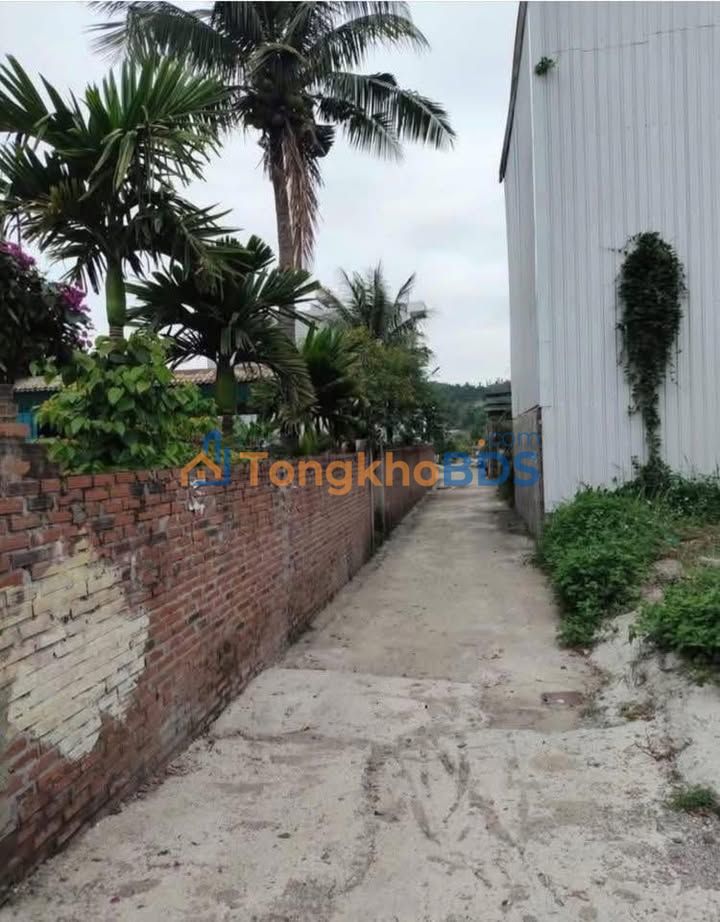 Đất Hà Khánh Hạ Long 67m2 2 tỷ - Đường ô tô vào tận nơi