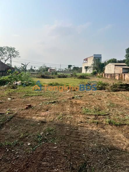 Bán Gấp Đất Kim Sơn 1488m² Sổ Đỏ Chính Chủ, Mặt Đường Tâm Huyết, Gần Hồ Đồng Mô