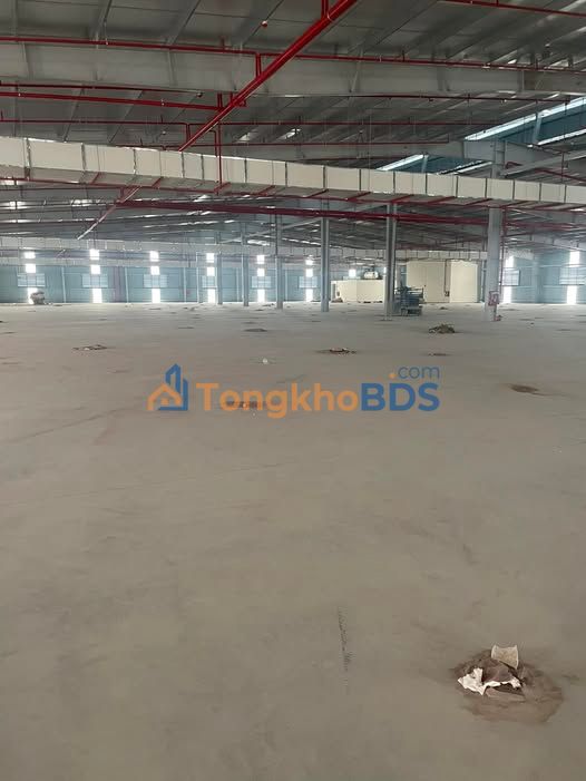 Cho thuê kho xưởng 12.000m² KCN Hải Phòng (Hải Dương) - Ưu đãi thuế