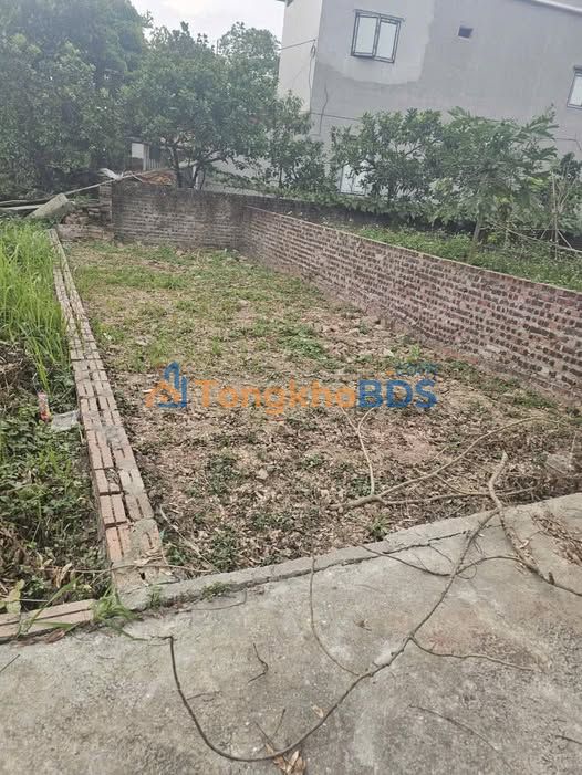 Bán gấp đất Ngọc Tảo 42m² - Sổ đỏ chính chủ, giá 1.4 tỷ