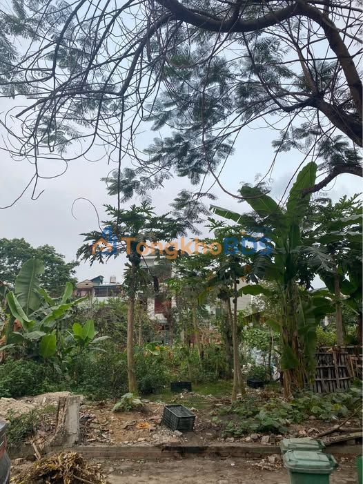 Đất nền Nam Sông Mã Thanh Hóa 75m² giá 2 tỷ - Sổ đỏ chính chủ