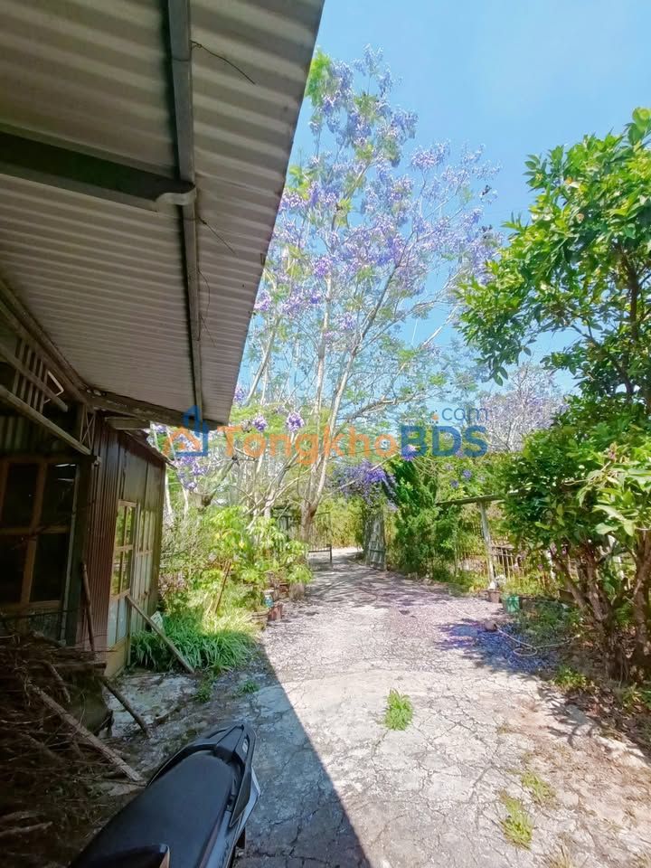 Nhà sân vườn Phường 3 Đà Lạt 400m² 10-12tr - Sẵn sàng ở ngay