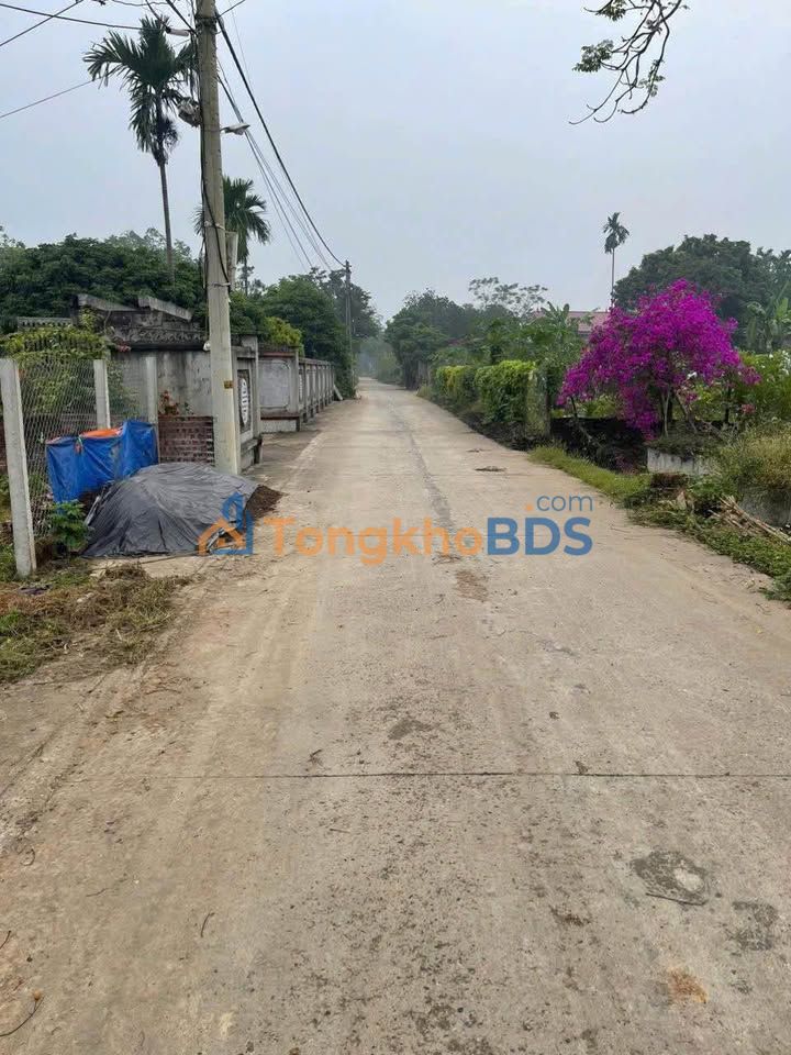 Đất Vườn Ba Vì 321m² - Sổ Đỏ Rõ Ràng, Giá Chỉ 1.x Tỷ