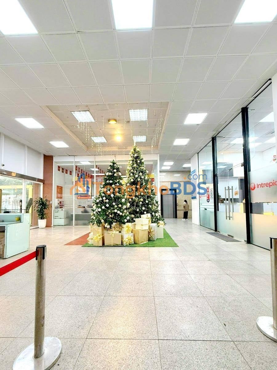 Tòa Building Lô Góc Đội Cấn 1724m² - Dòng Tiền 4 Tỷ/Tháng - Lõi Ba Đình