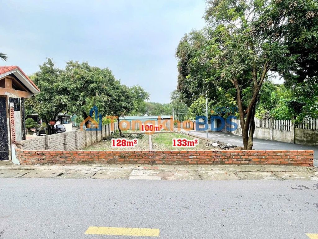 Đất Cổ Đông 128m² - Mặt Tiền Kinh Doanh, Tiềm Năng Sinh Lời Vượt Trội