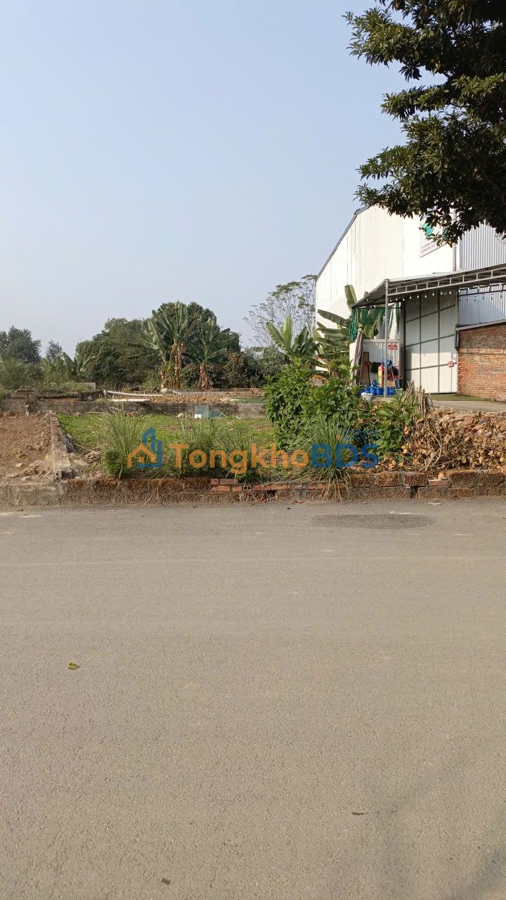 Đất Tân Xã Thạch Thất 100m² 2,7 tỷ - Đường ô tô