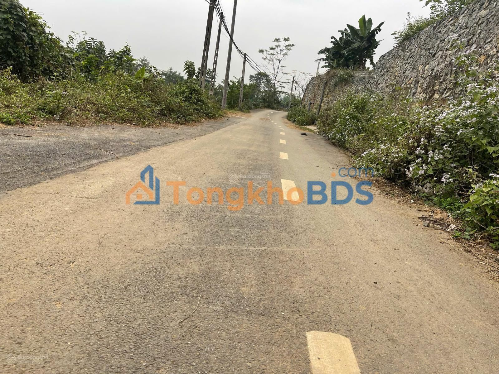 Đất Vàng Quốc Oai 10.000m² - Sổ Hồng Tách Sẵn, Gần KCN Hòa Lạc