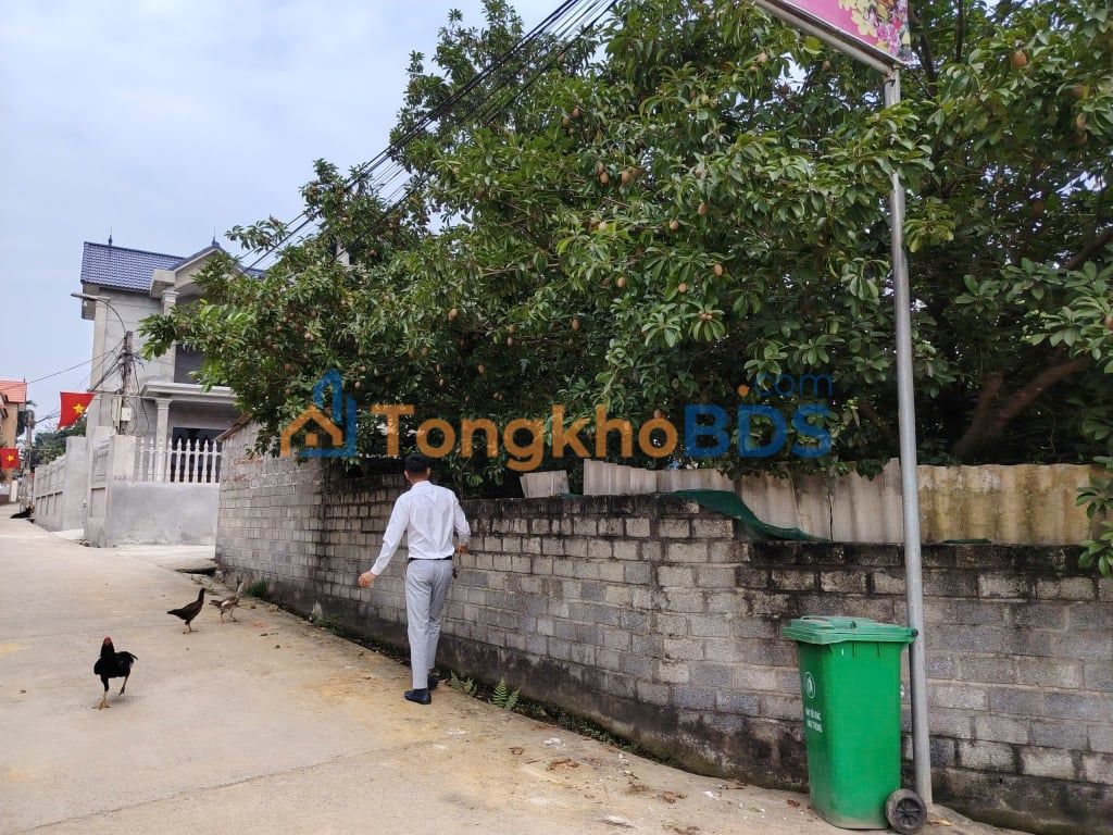 Đất Trần Phú, Chương Mỹ - 90m² Mặt Tiền Rộng, Ô Tô Tránh - Giá 1.45 Tỷ