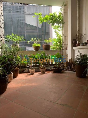 Bán đất Văn Cao, Ba Đình 37m² - Ngõ thông, 3 bước ra phố, 12.2 tỷ