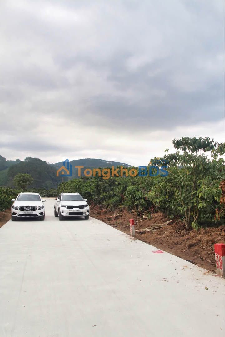 Đất thổ cư Lâm Hà, Lâm Đồng - Sổ hồng trao tay, chỉ từ 349 triệu/lô