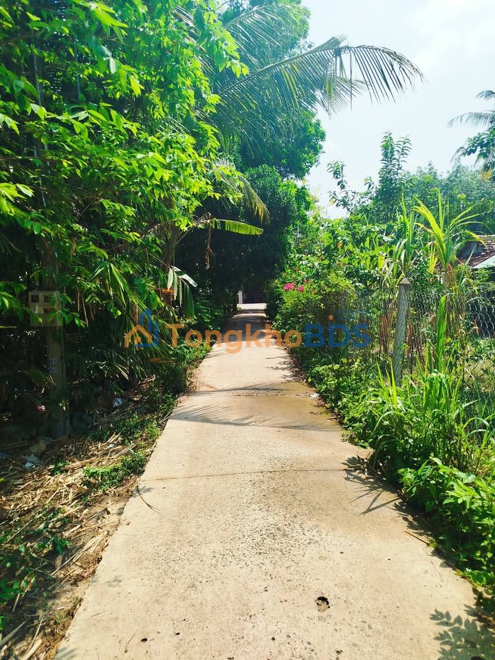 Đất Nền Tân Biên 120m² - Sổ Đỏ Thổ Cư, Gần Coopmart Giá Chỉ 250 Triệu