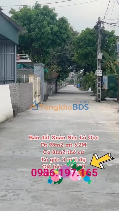 Đất Lô Góc 3 Mặt Tiền 98m² - Tứ Kỳ, Hải Dương - Giá 1.65 Tỷ