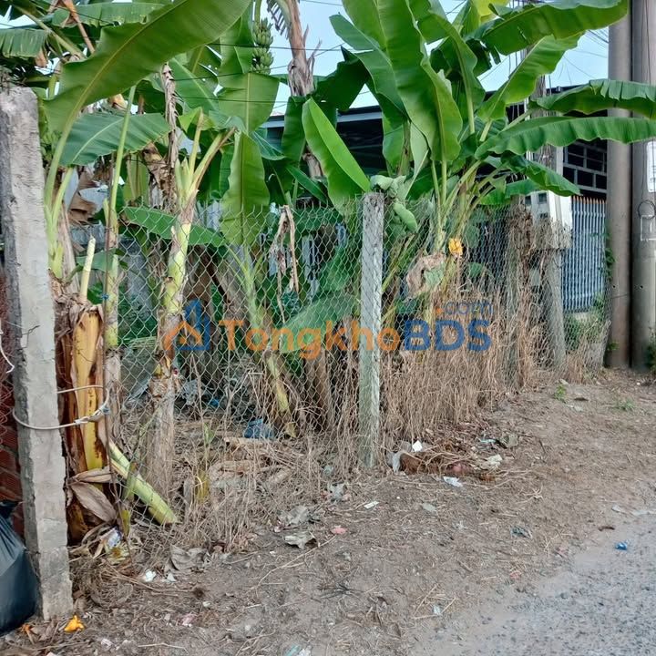 Đất Nền Mặt Tiền Đường Thông 128m² Phường Phú Khương, Bến Tre - 590 Triệu