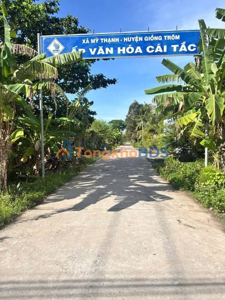 Bán Đất Vĩnh Long 1336m² Mặt Tiền Lộ Rộng - Giá Tốt Đầu Tư