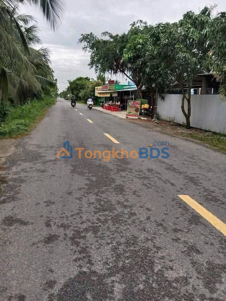 Bán Gấp Đất Ruộng 1000m² Mỹ Chánh, Bến Tre - Giảm Giá Sốc 440 Triệu