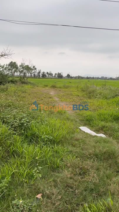 Đất Vàng Đường Tỉnh Lộ 6, Can Lộc, Hà Tĩnh - 167.5m²