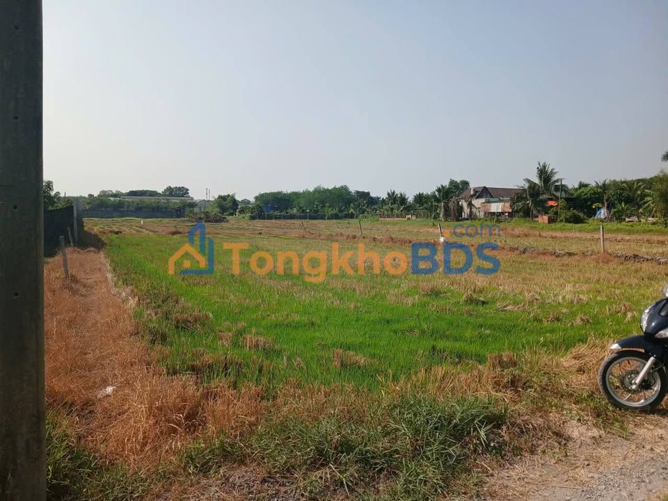 Đất Vườn Củ Chi 1090m² - Sổ Đỏ Riêng, Giá Đầu Tư 1.9 Tỷ