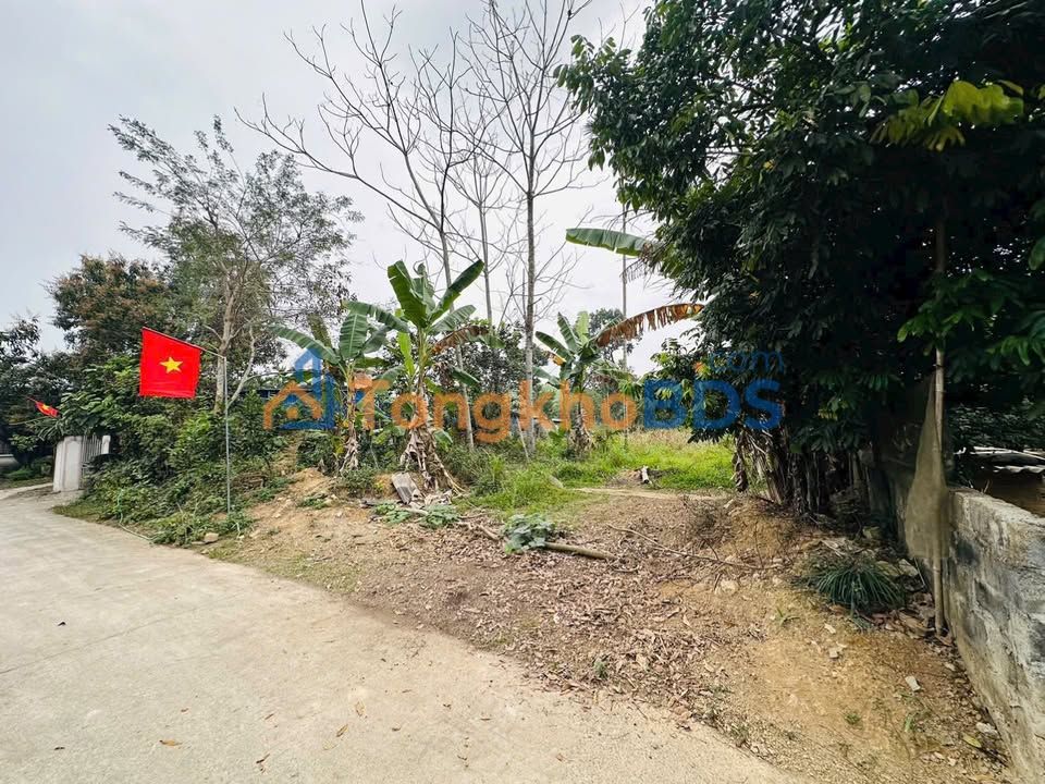 Đất Nở Hậu 1133m² Sổ Đỏ Sẵn Sàng - Lương Sơn, Hòa Bình