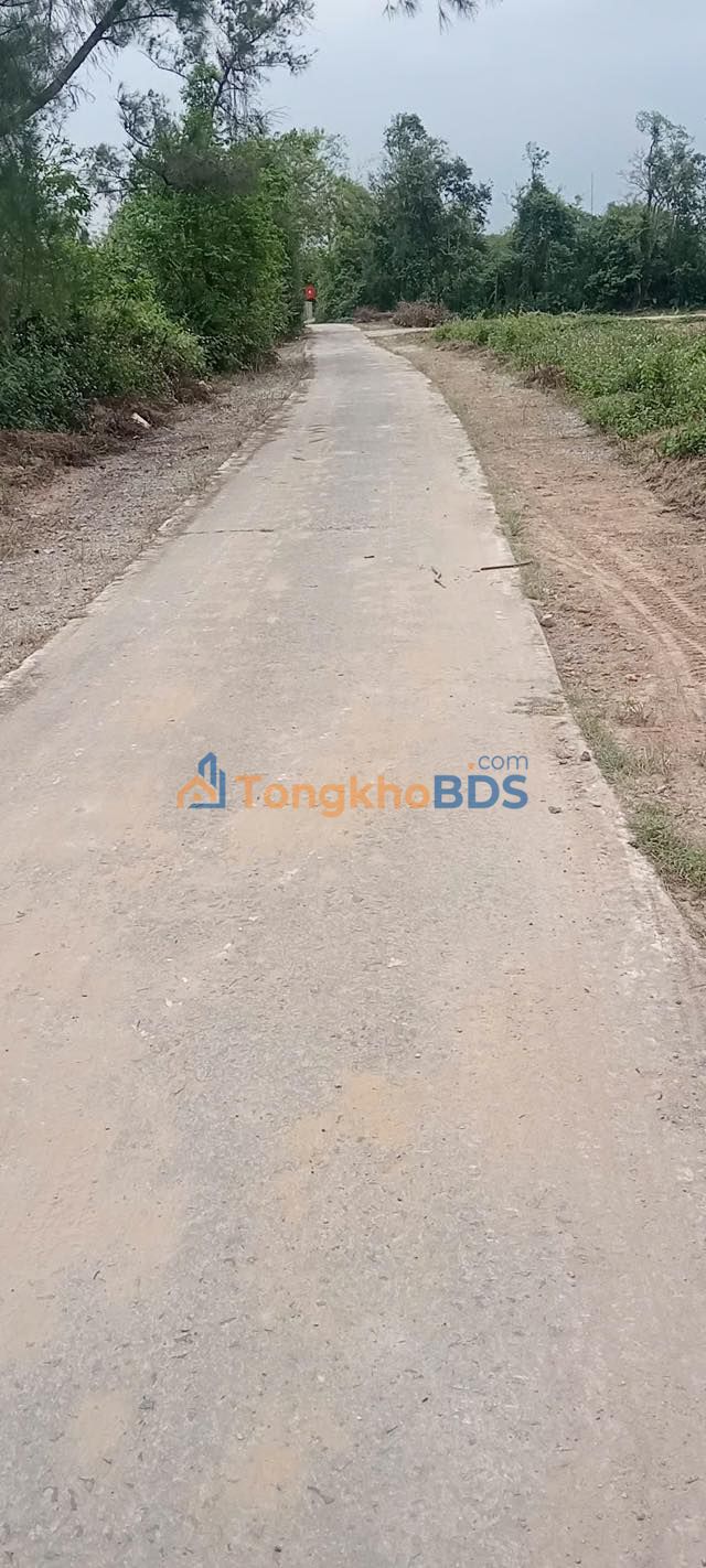 Bán Đất Lô Góc Nghi Trung 108m² - 2 Mặt Đường Ô Tô Tránh Nhau