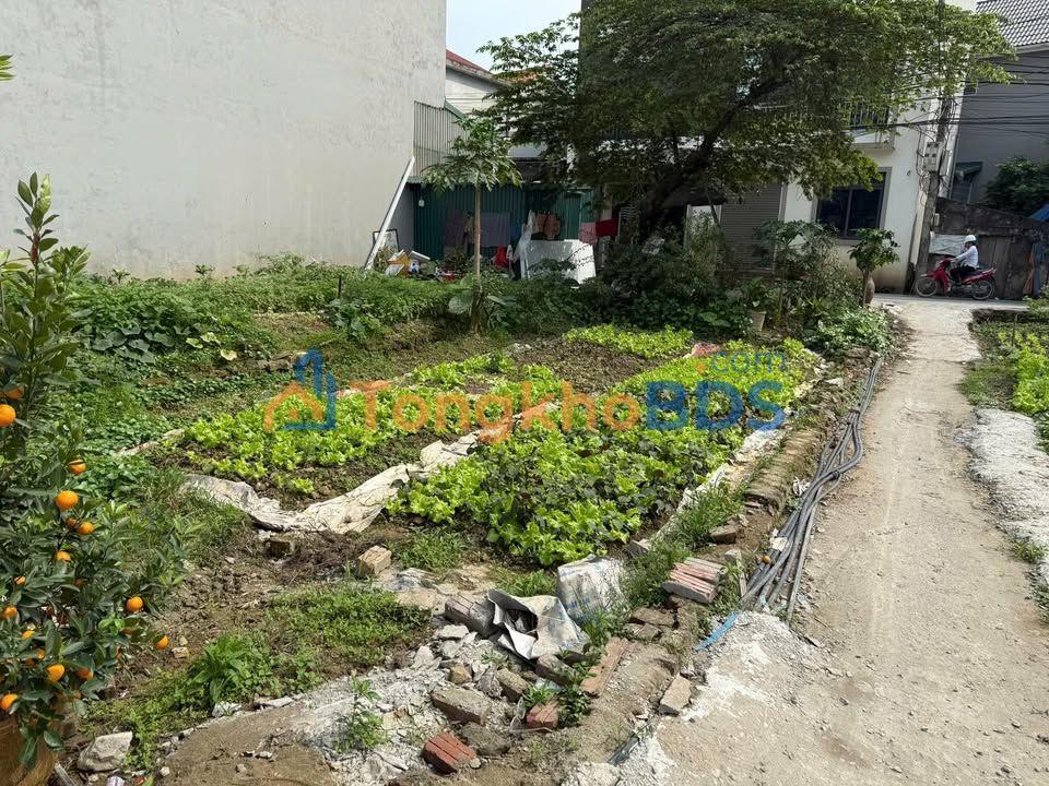 Đất Lô Góc 94m² Cựu Quán, Hoài Đức - 2 Mặt Tiền Đường Thông, Ô Tô Tránh Nhau