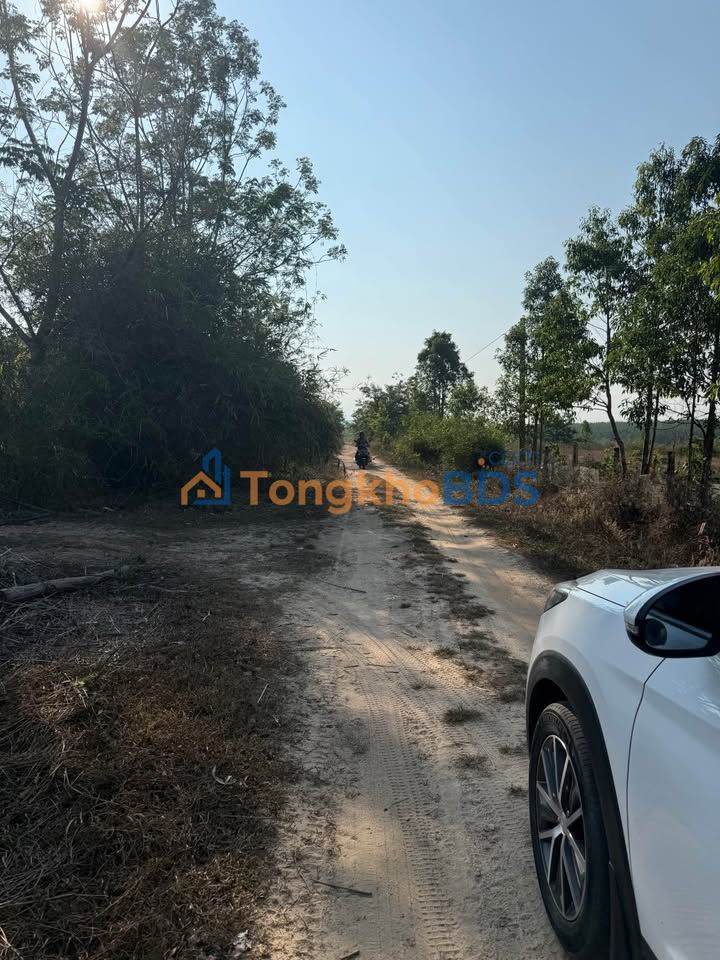 Đất Vườn Đắk Cấm, Kon Tum - 1600m² Thổ Cư, Giá 1.5 Tỷ - Đầu Tư Lý Tưởng