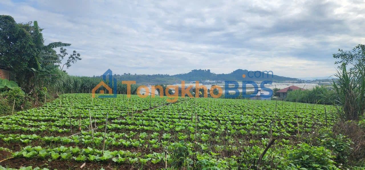 Đất Vườn Đạ Ròn, Đơn Dương, Lâm Đồng - 4316m² - Giá Tốt Đầu Tư