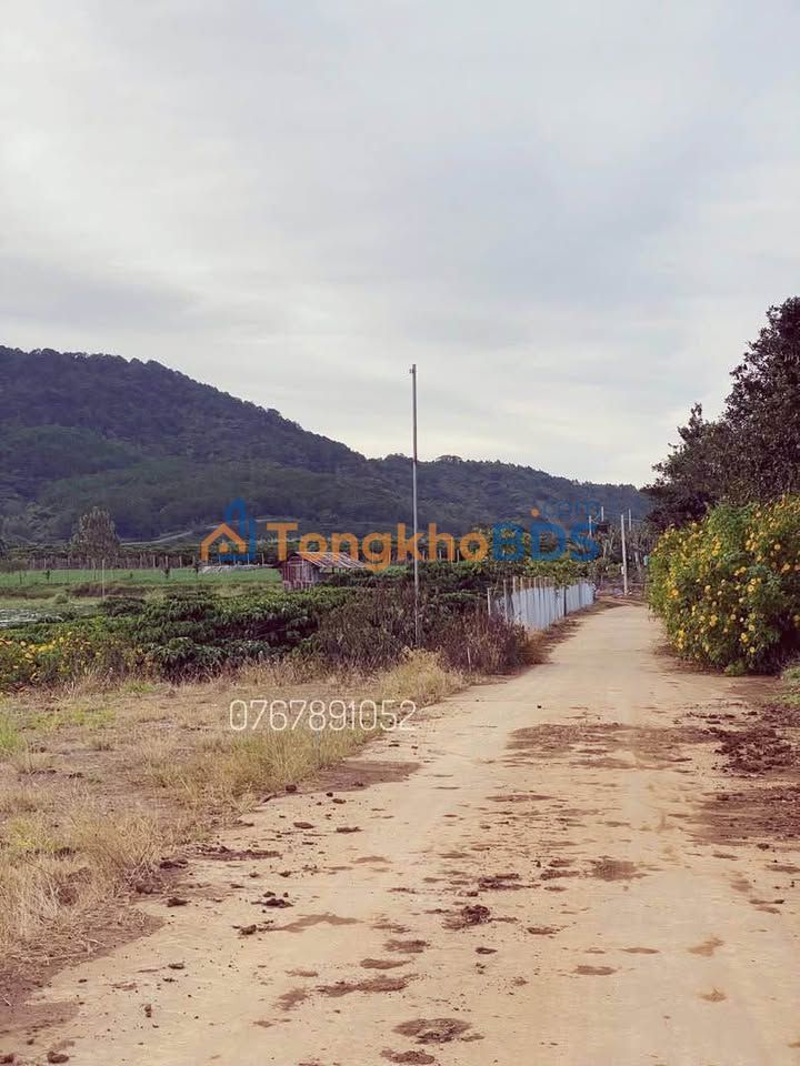 Đất Nền Liên Hiệp Đức Trọng 260m² - 1.09 Tỷ, Full Thổ Cư, Sẵn Sổ