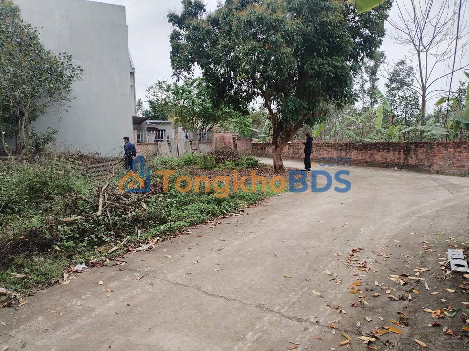 Đất Lô Góc 100m² - Phương Liễu, Bắc Ninh - Chỉ 600 Triệu