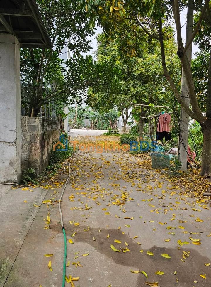 Đất thổ cư 99m² Phủ Lý, Hà Nam - Gần trường chuyên, bệnh viện lớn