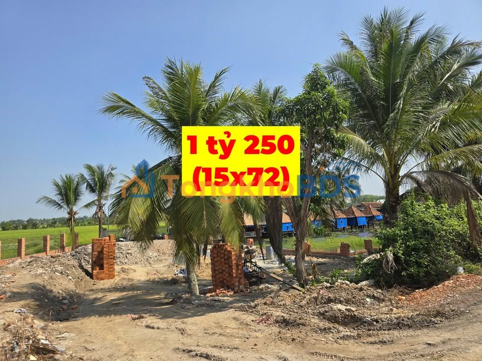 Bán Biệt Thự Vườn 1000m² Gò Dầu - 1.2 Tỷ, 100m² Thổ Cư Sẵn Sàng