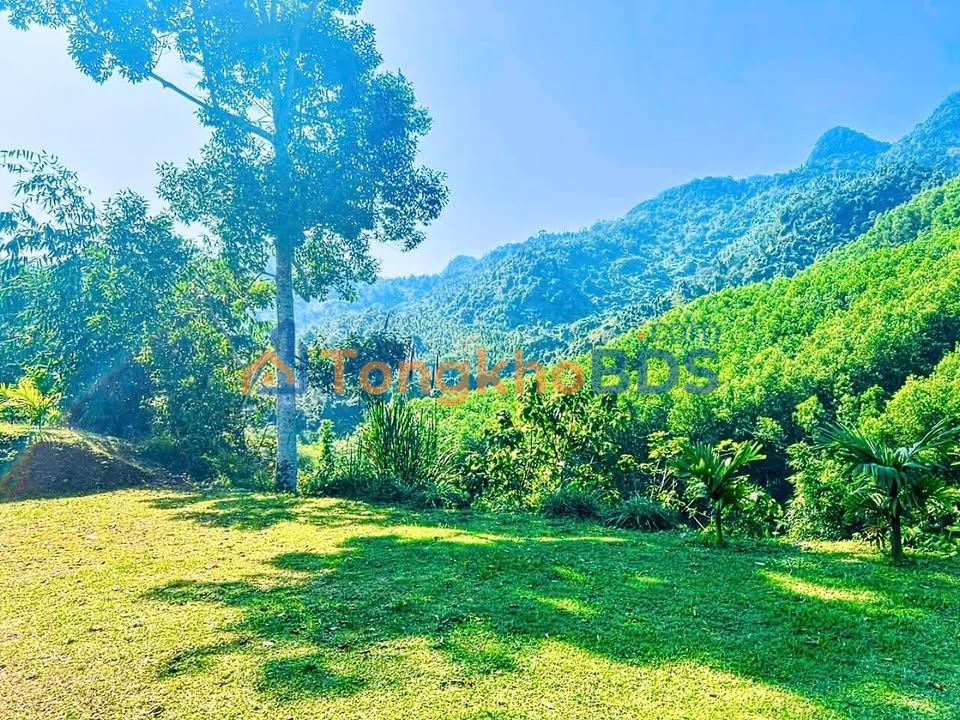 Cho thuê nhà vườn Kim Bôi 2000m² - Trải nghiệm sống xanh gần Hà Nội