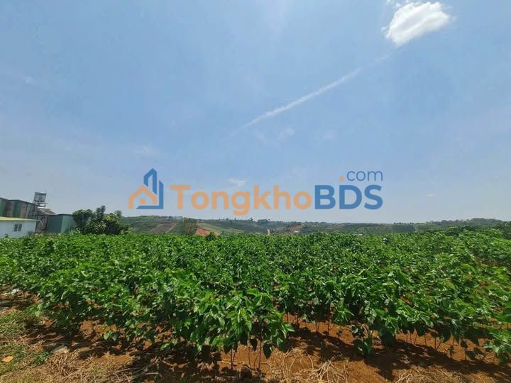 Đất Nền Bảo Lộc 1066m² - View Đẹp, Sẵn Sàng Xây Dựng