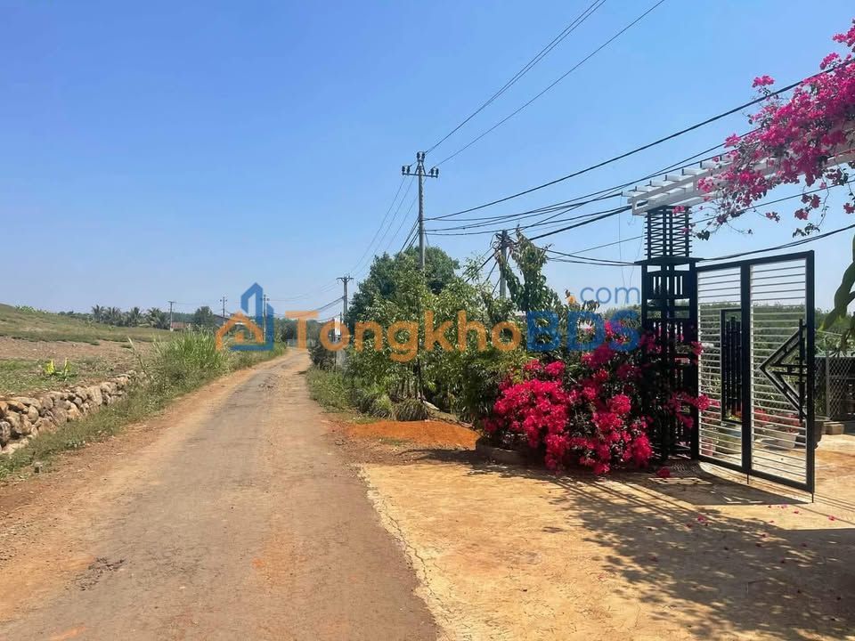 Đất nền Tuy Đức, Đắk Nông 490m² - Sổ đỏ 100% thổ cư, giá 320 triệu