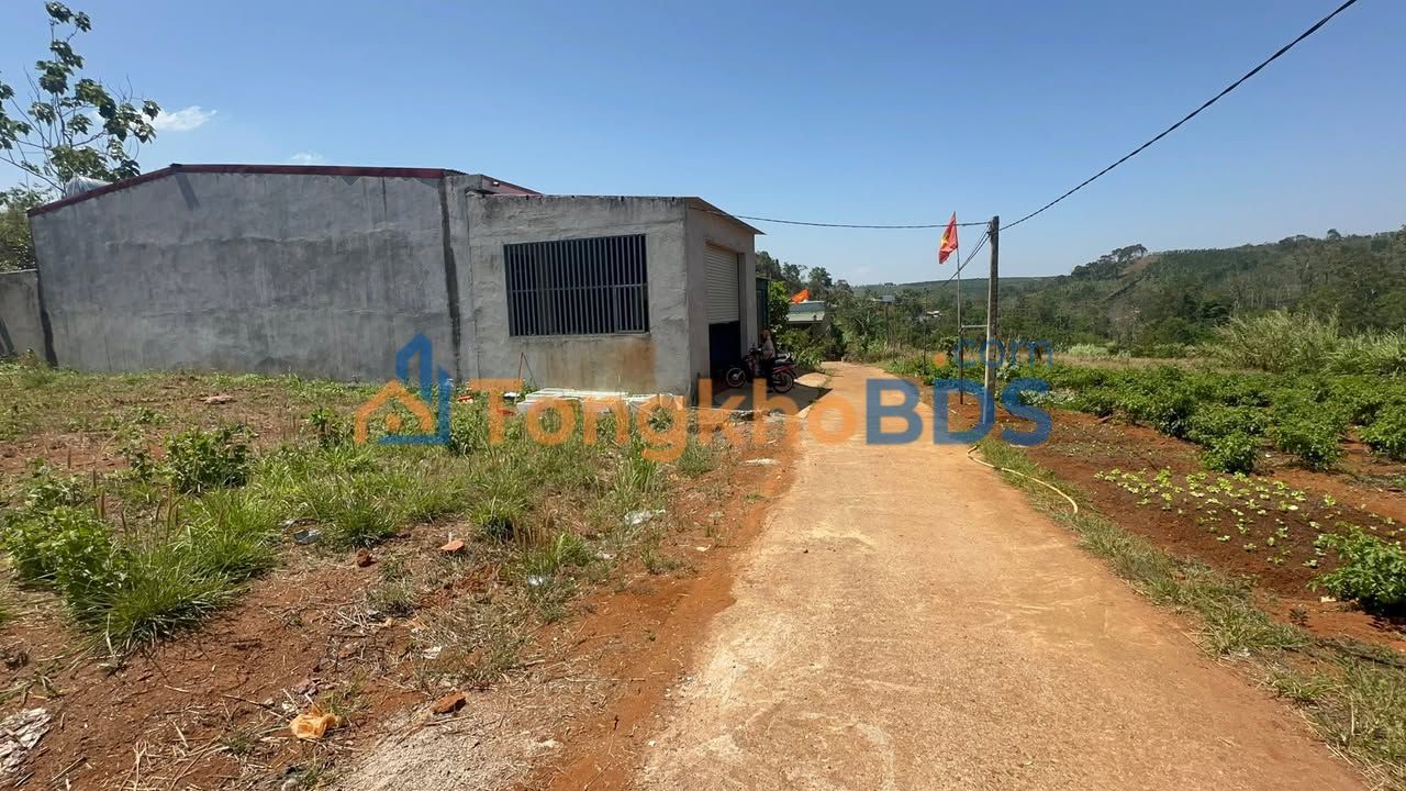 Đất Đắk Nông 500m² - Sổ Đỏ Chính Chủ, Giá Đầu Tư 275 Triệu