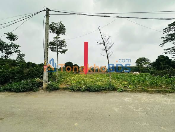 Đất Thổ Cư Phú Cát 125m² - Sổ Đỏ Vuông Vắn, Giá Tốt