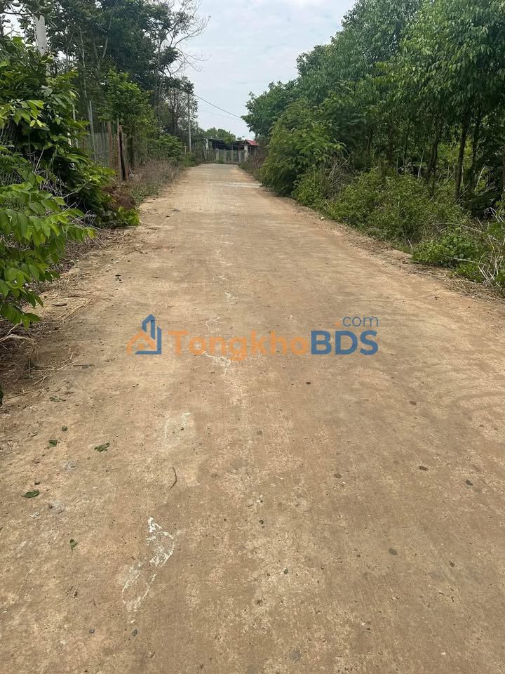 Đất Nền 4800m² Sổ Sẵn, Mặt Bê Tông, Bàu Bàng, Bình Dương - Giá 2.8 Tỷ