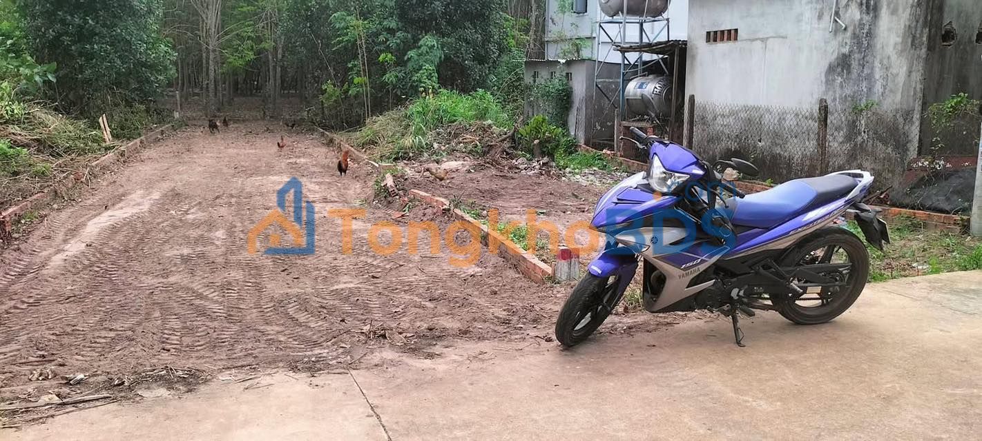 Đất nền Bến Cát 135m² thổ cư - Sổ hồng sẵn sàng giao dịch