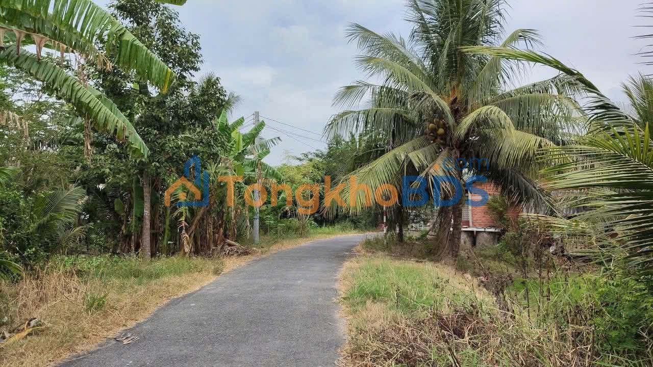 Bán Đất Mặt Tiền Mỹ Nhơn, Ba Tri, Bến Tre - 2700m² Chỉ 550 Triệu