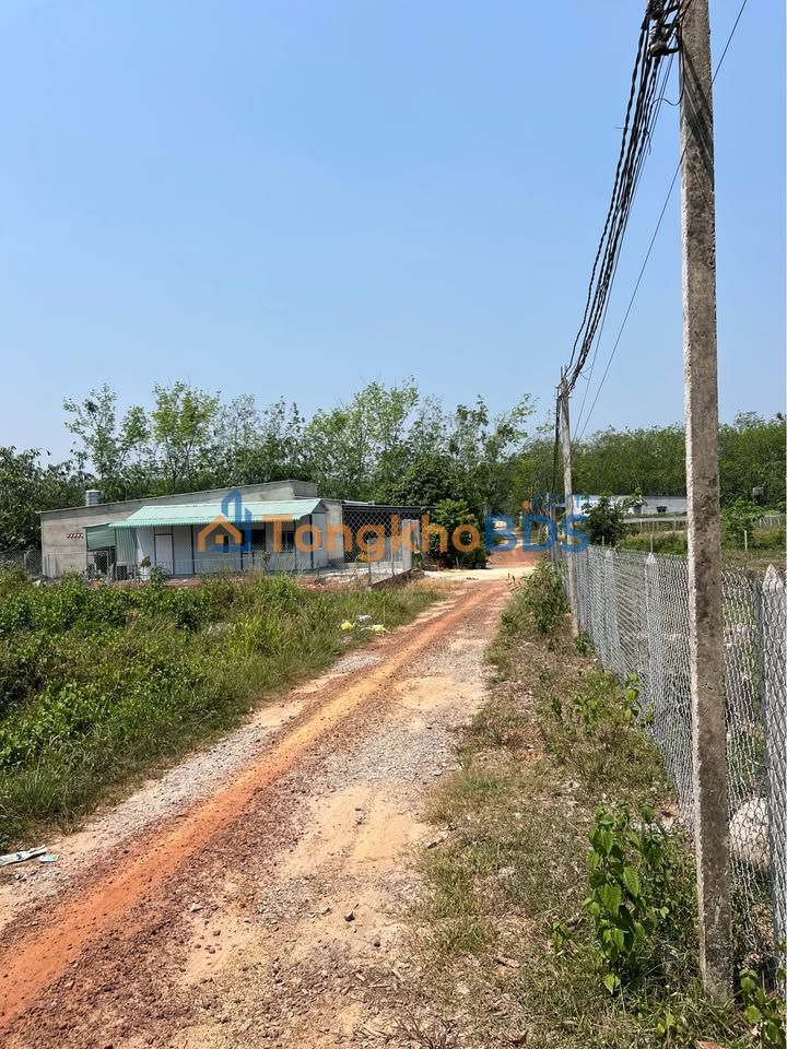 Đất Vườn 1650m² Mỹ Phước, Bình Dương - Giá Đầu Tư 1 Tỷ