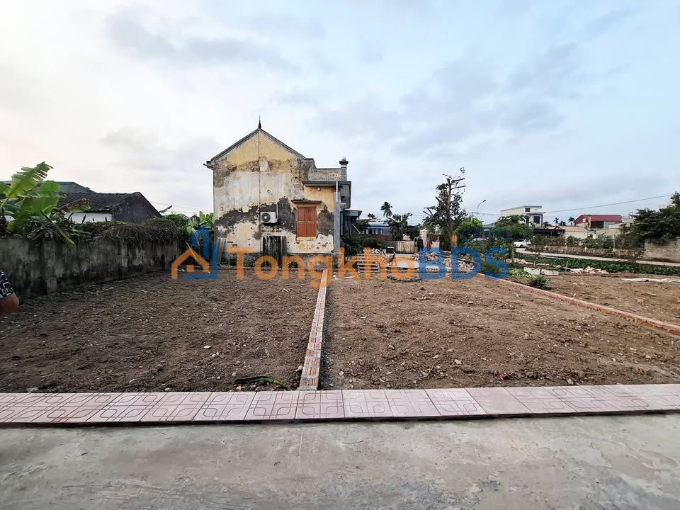 Đất Nền An Lão, Hải Phòng - Sổ Đỏ Từng Lô, Giá F0 Chỉ Từ 6xx Triệu