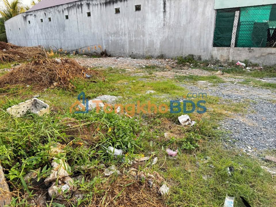 Đất Sổ Hồng Mặt Tiền Tân Hiệp, Tiền Giang - 360m² Kinh Doanh/Ở