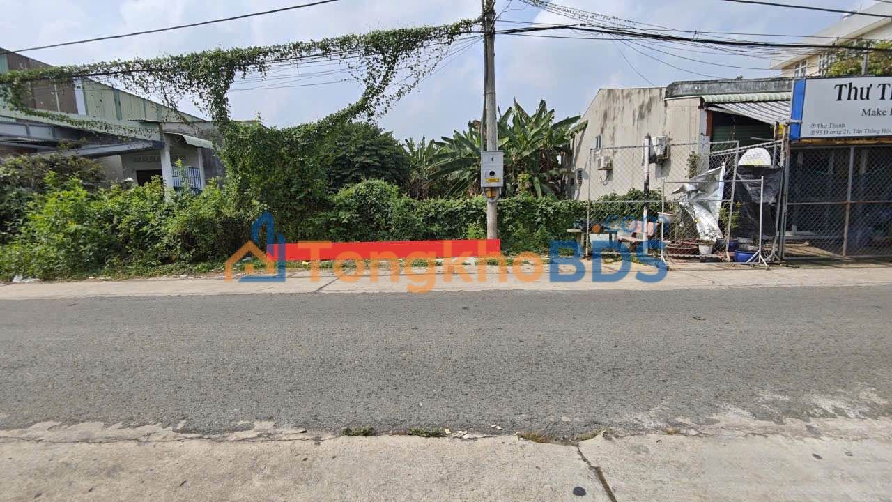 Đất Củ Chi 250m² Full Thổ Cư - Sổ Riêng Sẵn Sàng Giao Dịch