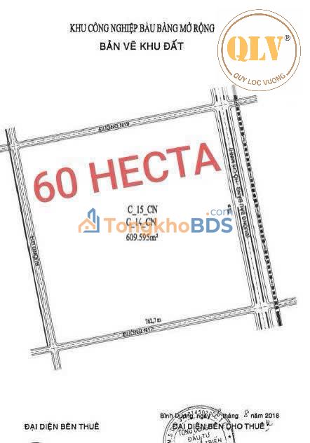 Đất KCN Bàu Bàng Mở Rộng 60.9 Ha - Sẵn Sàng Xây Dựng, Thuê Đất Lâu Dài