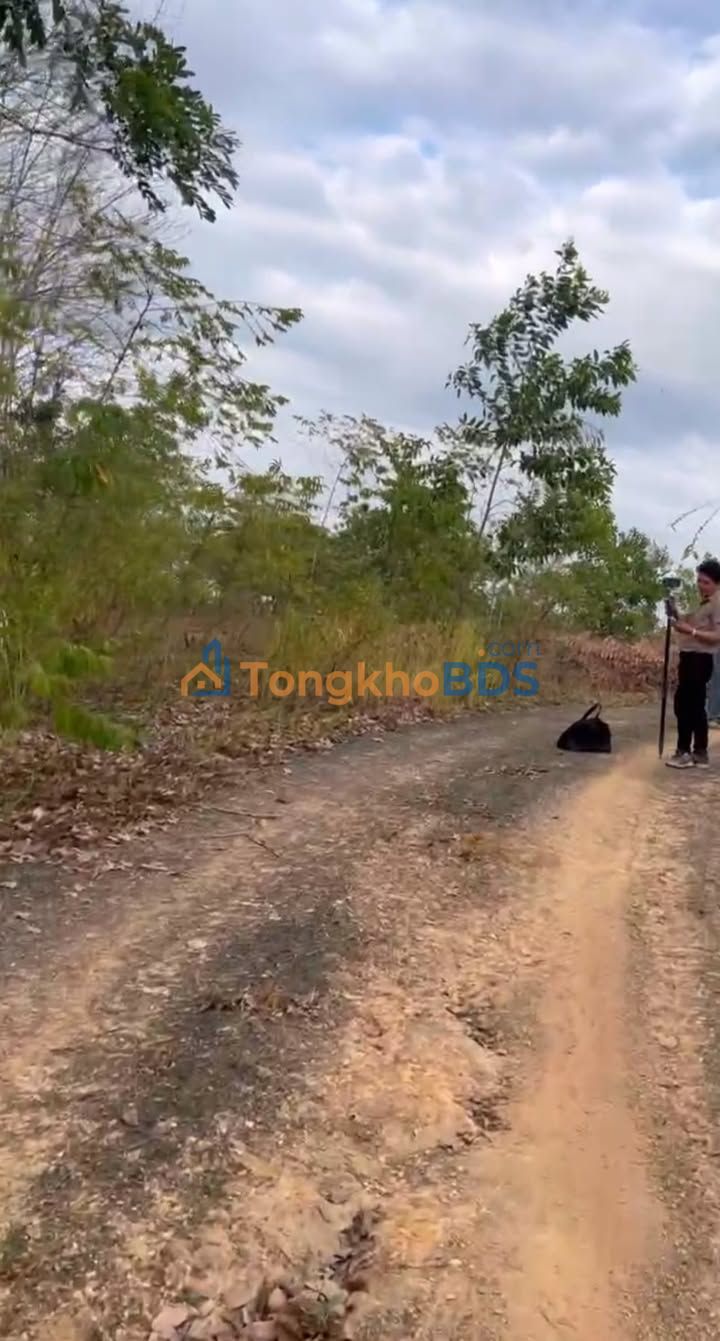 Đất Nền Đồng Phú 1080m² - Sổ Đỏ Sẵn Sàng - Giá Đầu Tư 171 Triệu