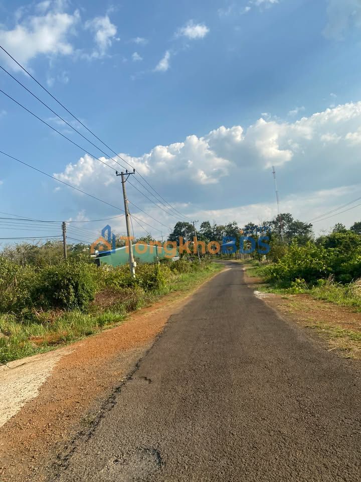 Bán Đất Nền Tuy Đức 420m² - Mặt Tiền Đường Betong, Sẵn Sổ Đỏ