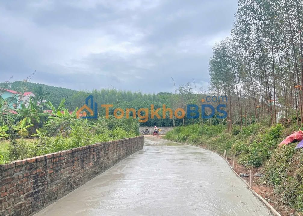 Bắc Giang: 2 Lô Đất Mặt Tiền 10m, 162m²/Lô, Giá Chỉ 798 Triệu/Lô